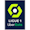 Ligue 1 League