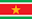 Suriname Nation