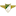 Moreirense FC Club