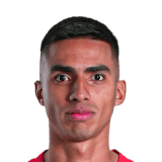 NAVARRO