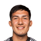 RAMIREZ CARDOZO