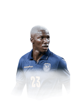 CAICEDO