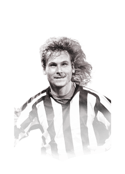 NEDVED