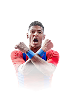 VAN AANHOLT