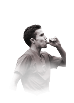 VAN PERSIE