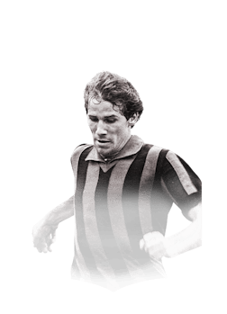 BARESI