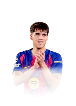 PAU CUBARSÍ