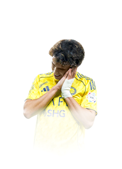 JOÃO FÉLIX
